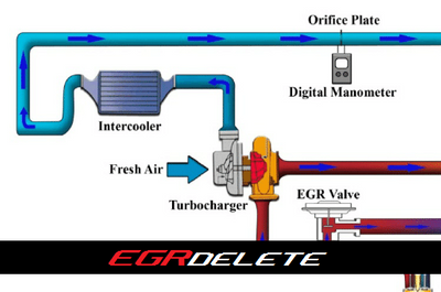 THANAS EGR (Exhaust Gas Recirculation) Delete / Disable supplied by